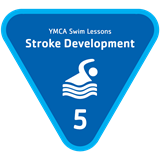 Stage 5 | Stroke Development